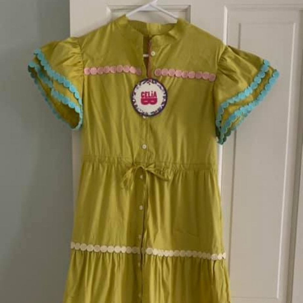 Celia Lime Green Button-Front Maxi Dress
